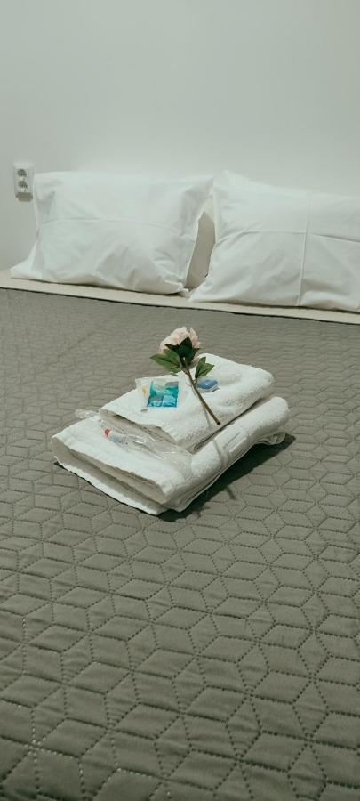 Santa Cruz Guest house *
